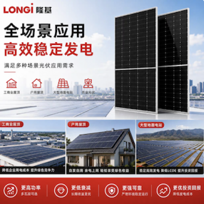 LONGi Photovoltaic Module